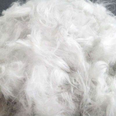 French Angora Blue