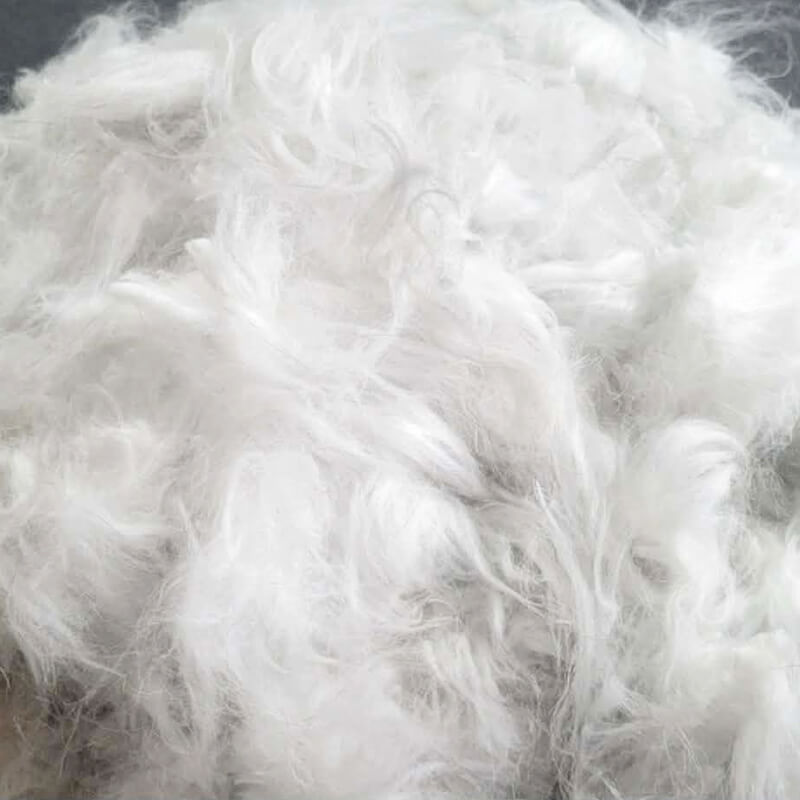 French Angora Blue