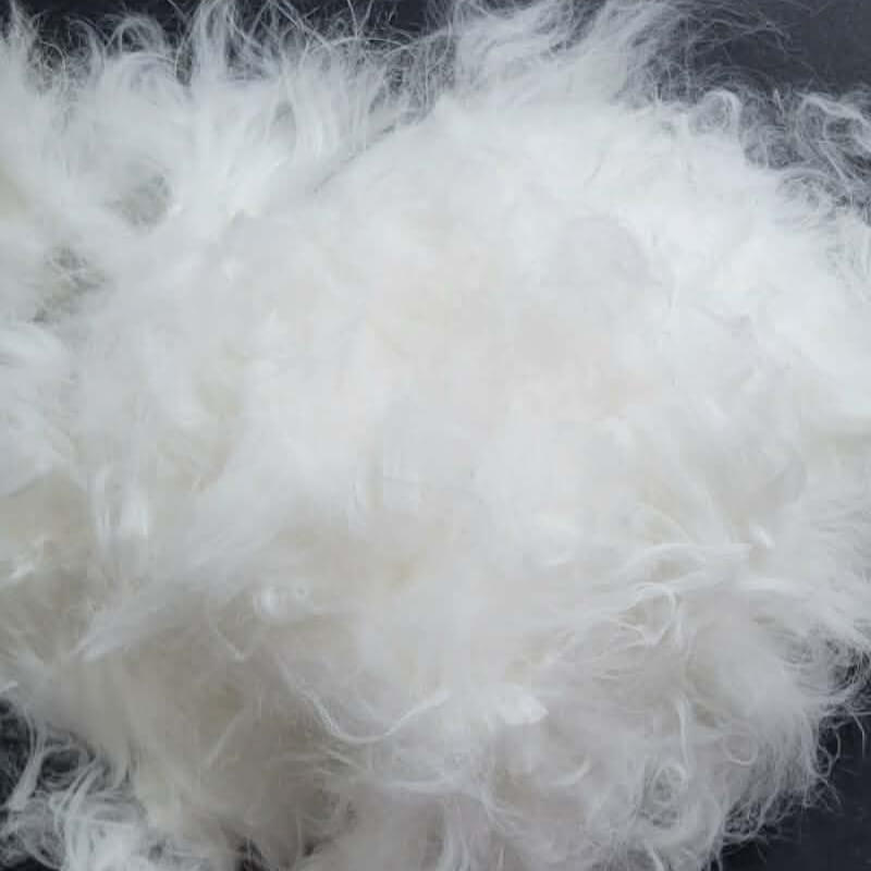 French Angora Blue
