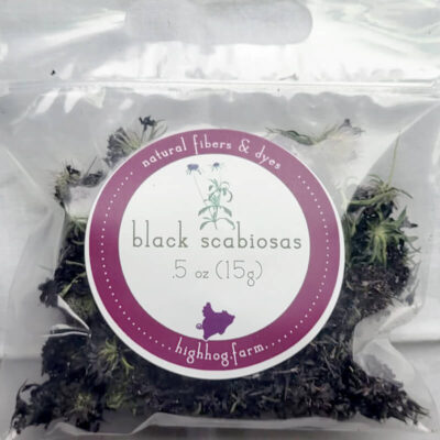 Black Knight Scabiosa Dried
