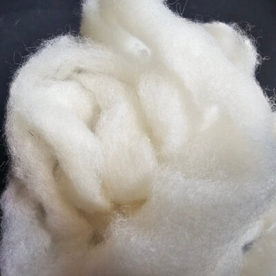 Cheviot White Roving