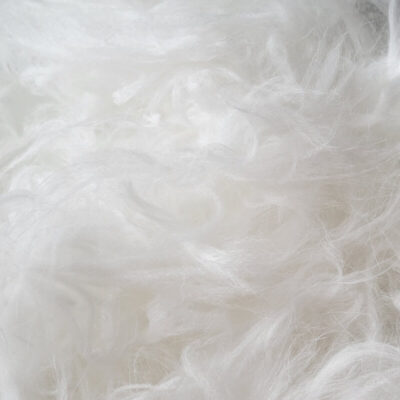 French Angora Black