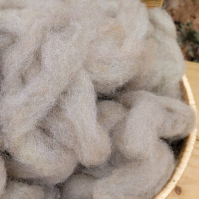 GCN Autumn Ash Roving