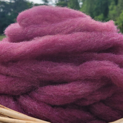 GCN/Alpaca Wine Roving