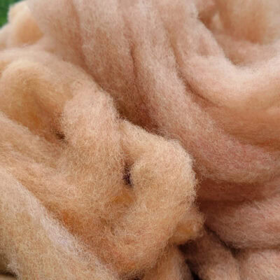 GCN Cinnamon Sugar Roving