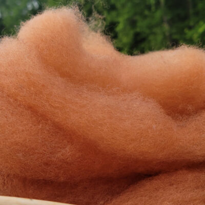 GCN Tangerine Roving