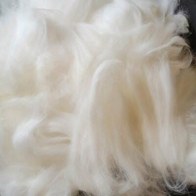 Jackson - Whole Fleece (145 g)