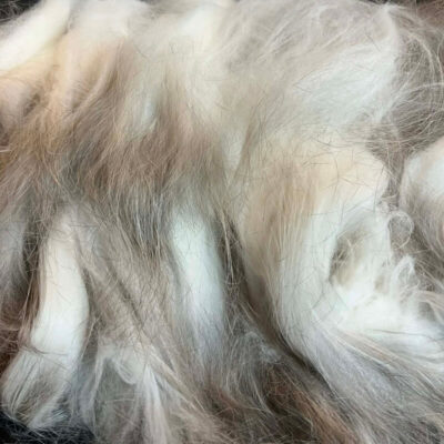 Viola - Whole Fleece (47 g)